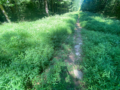 Park «Clayton Park», reviews and photos, 3173 Garnet Mine Rd, Garnet Valley, PA 19060, USA