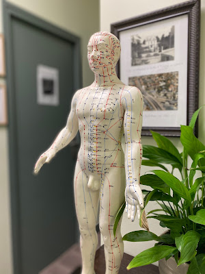 Dr. Eida BUI - Médecine Générale • Acupuncture à Saint-Maur-des-Fossés