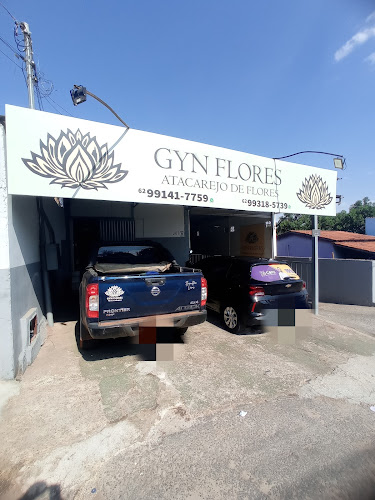 Gyn Flores Folhagens
