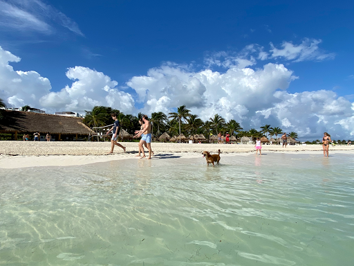 Travel Agency «BNT Travel Group», reviews and photos, 703 Brighton Beach Ave, Brooklyn, NY 11235, USA