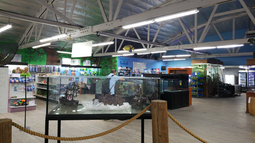 Tropical Fish Store «The Ocean Floor», reviews and photos, 2347 W Thomas Rd, Phoenix, AZ 85015, USA