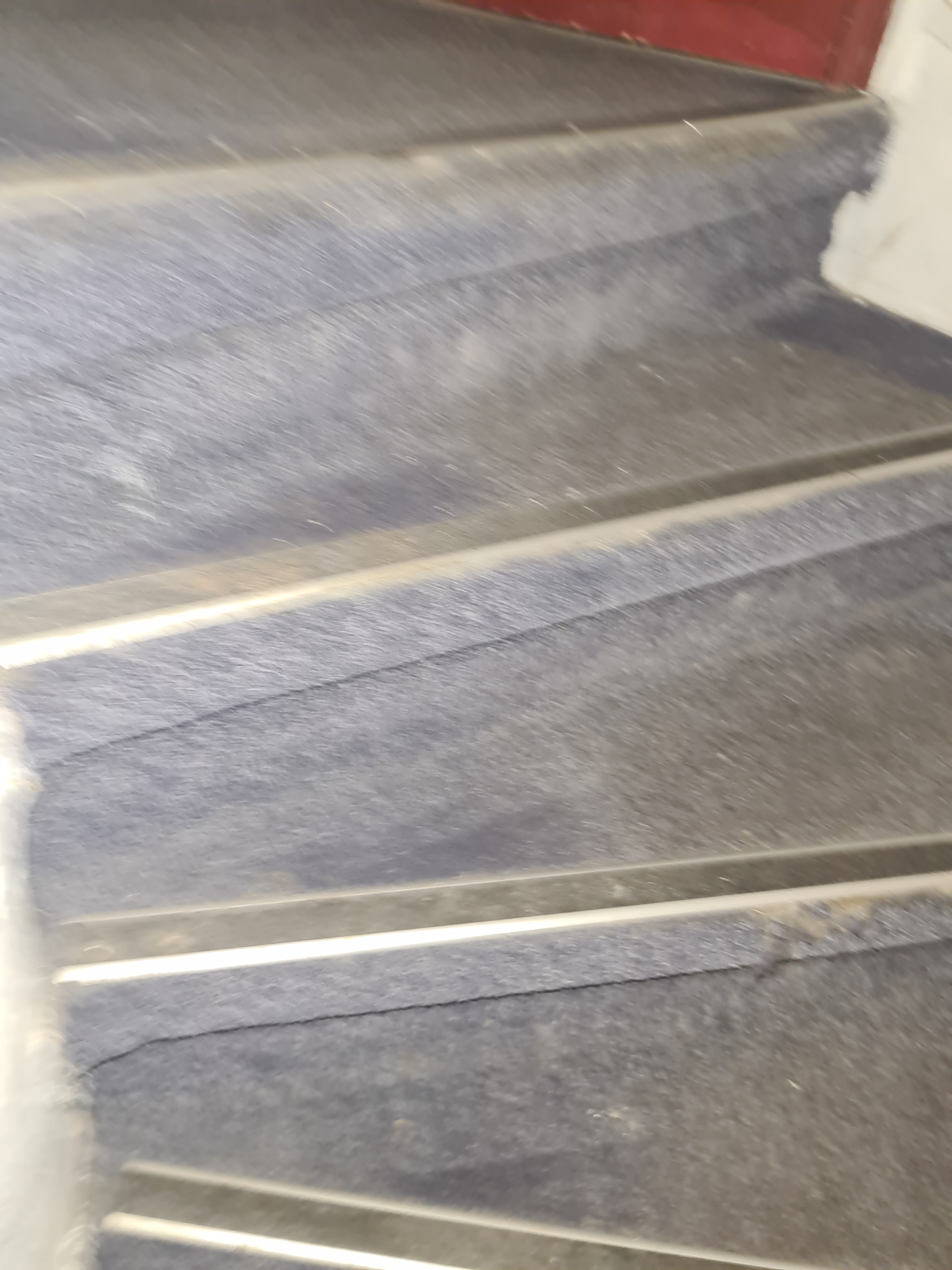Photo n° 4 de l'avis de Sha. fait le 18/08/2023 à 04:26