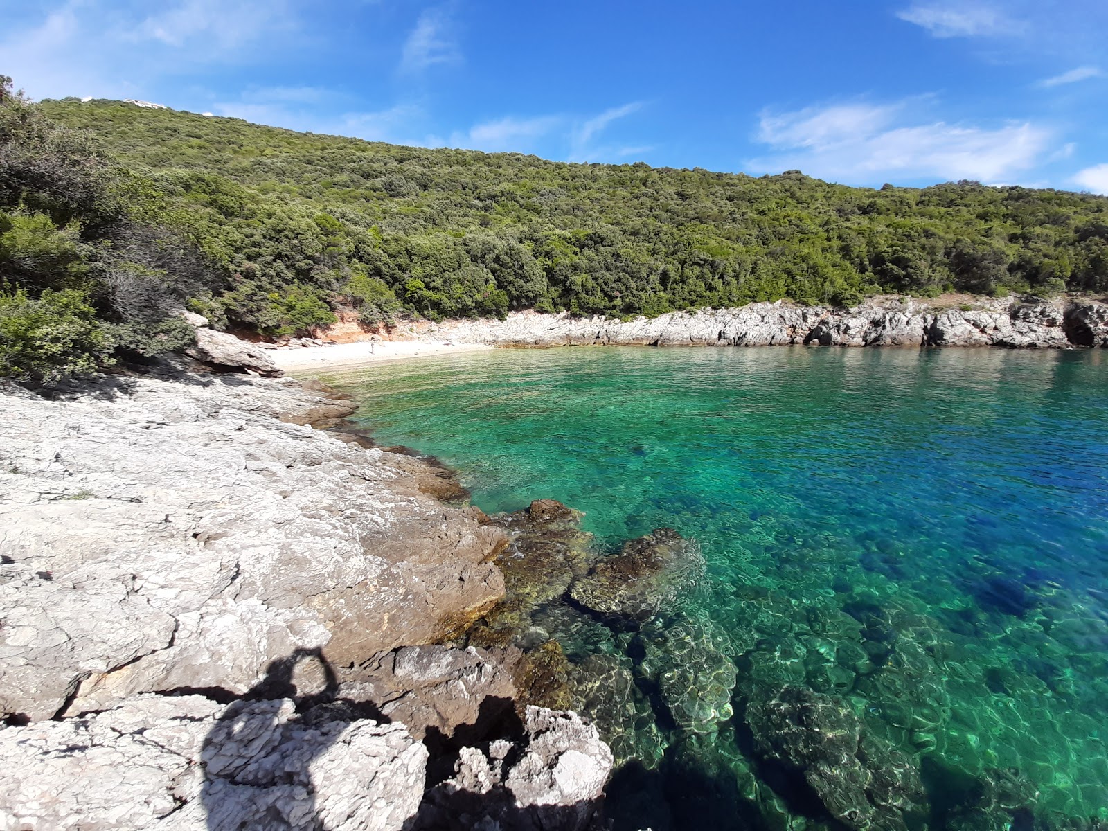 Foto van Pod Sadic beach met turquoise puur water oppervlakte