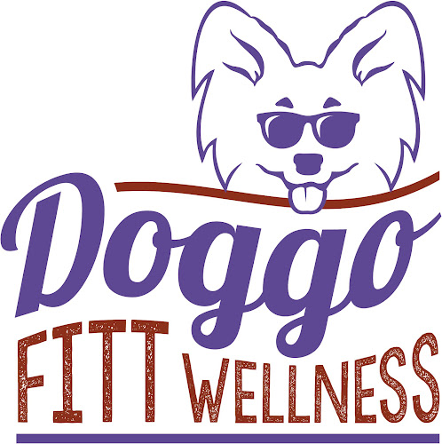 Hozzászólások és értékelések az Doggo Fitt Wellness-ról