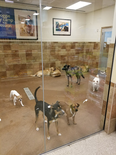 Pet Supply Store «PetSmart», reviews and photos, 114 Commerce Way, Woburn, MA 01801, USA