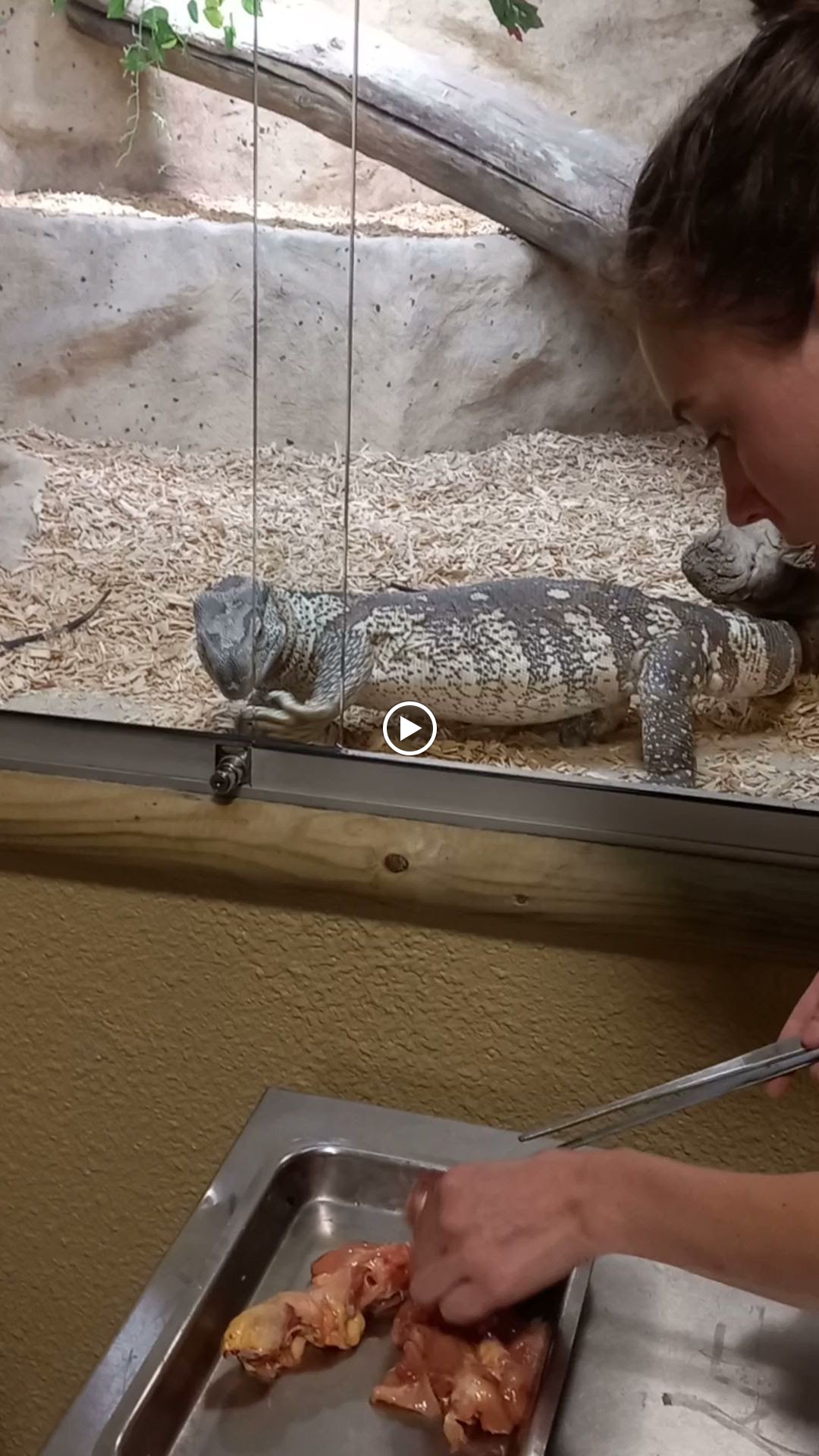 Photo n° 4 de l'avis de MARTINE.o fait le 09/06/2023 à 17:12