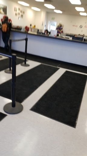 Auto Auction «Insurance Auto Auctions», reviews and photos