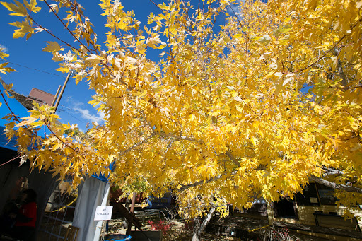 Tourist Attraction «Virginia City Depot», reviews and photos