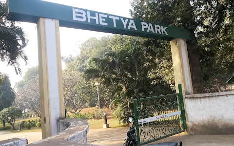 Bhatia Park image
