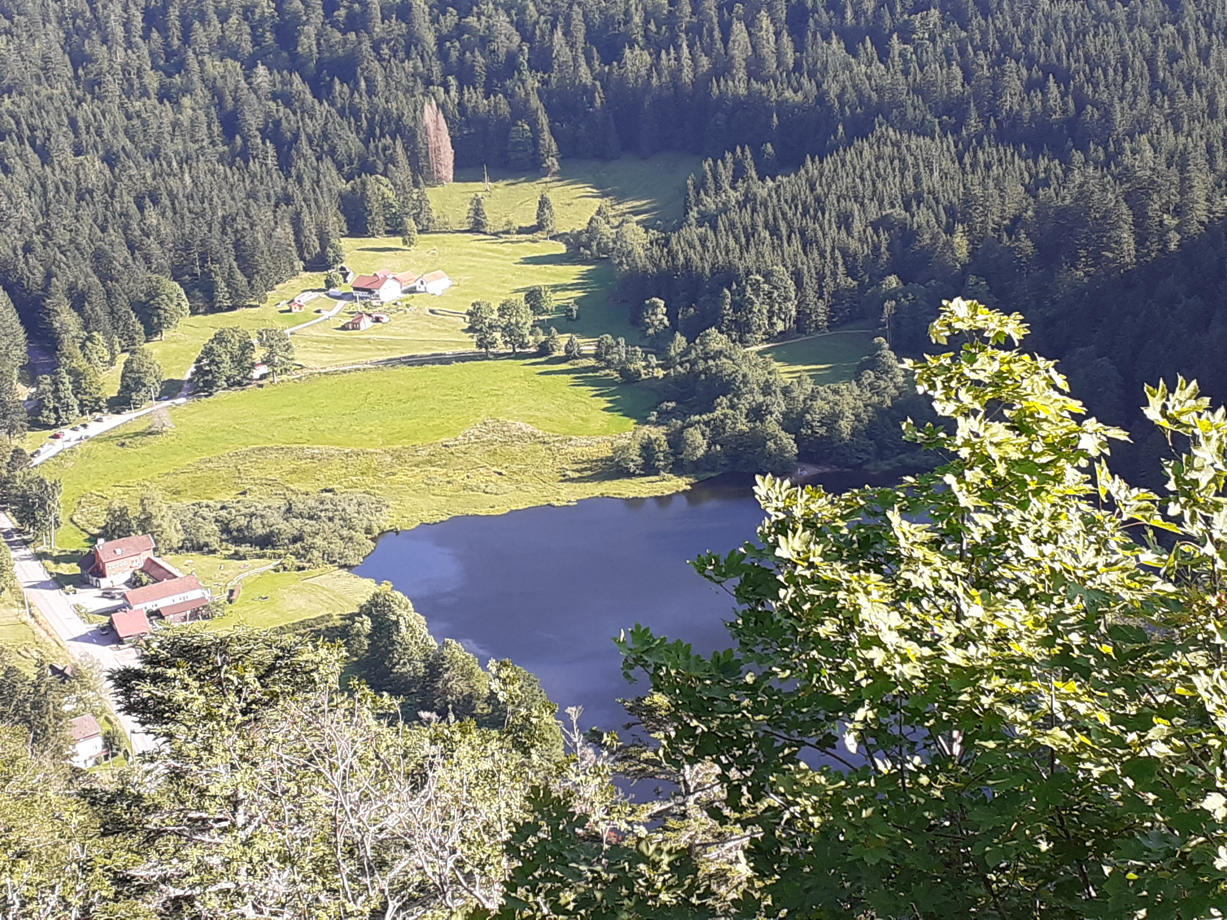 Photo n° 1 de l'avis de DELARUE.A fait le 15/08/2021 à 08:04