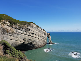 Farewell Spit Eco Tours