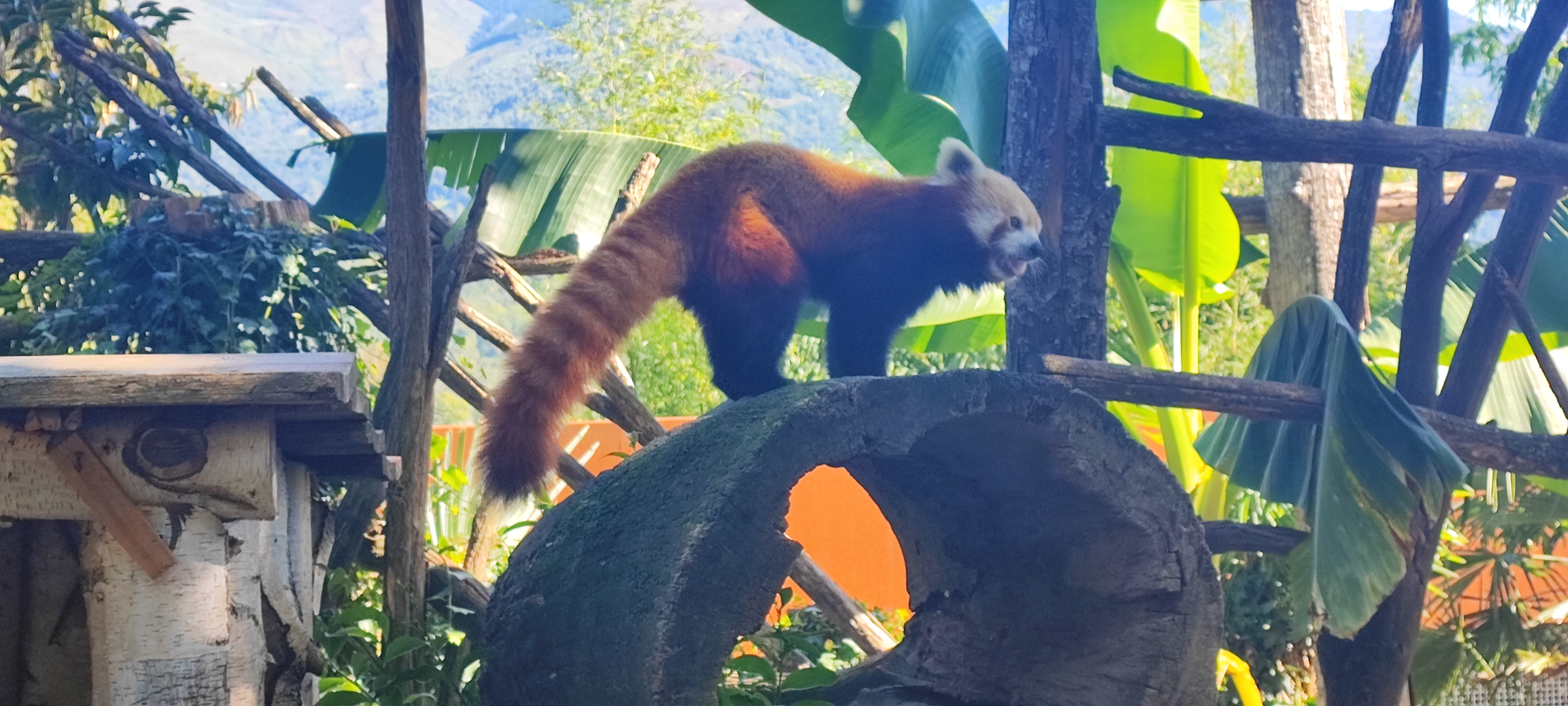 Photo n° 22 de l'avis de Thierry.i fait le 28/09/2023 à 17:40