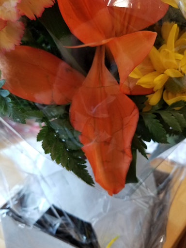 Florist «Axelrod Flowers», reviews and photos, 4429 Whitaker Ave, Philadelphia, PA 19120, USA