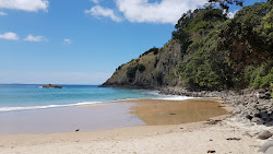 New Chums Beach'in fotoğrafı ve güzel manzarası