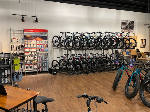Bicycle Store «Colonial Bicycle Company - Portsmouth», reviews and photos, 775 Lafayette Rd #5, Portsmouth, NH 03801, USA
