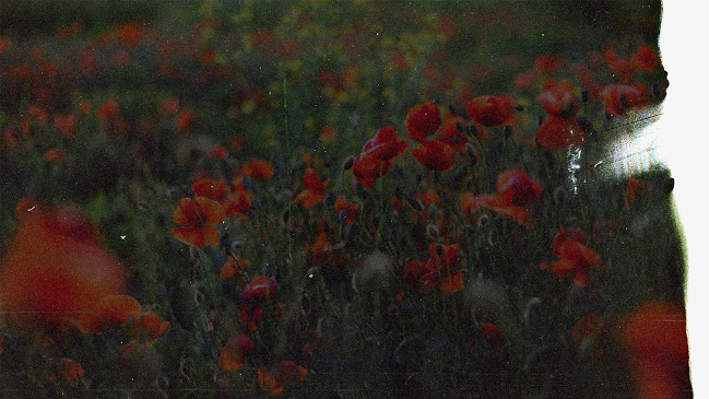 Avis sur Fiona Gasnier • Studio Coquelicot à Caen - Graphiste