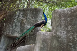 Vườn thú Đầm Sen image