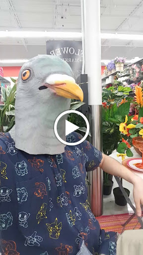 Craft Store «Michaels», reviews and photos, 1516 Butterfield Rd a, Downers Grove, IL 60515, USA