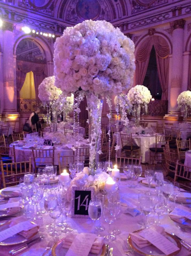 Plant Nursery «A & S Whitestone Nursery», reviews and photos, 2302 Francis Lewis Blvd, Whitestone, NY 11357, USA