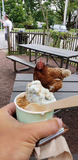 Ice Cream Shop «Owowcow Creamery», reviews and photos, 4105 Durham Rd, Ottsville, PA 18942, USA