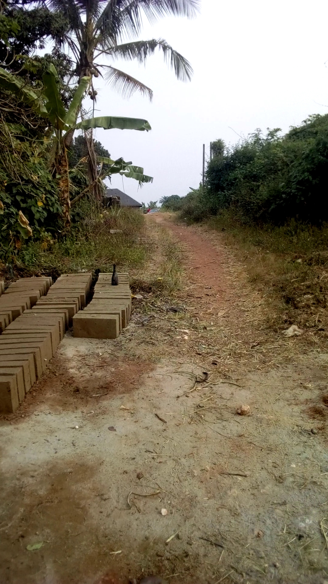 Enohia Itim Play Ground