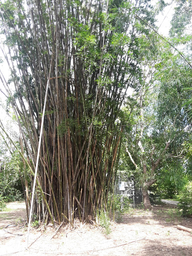 Country Club «Redland Golf & Country Club», reviews and photos, 24451 SW 177th Ave, Homestead, FL 33031, USA