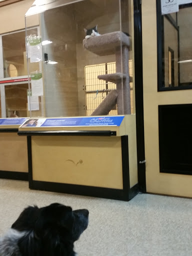 Pet Supply Store «PetSmart», reviews and photos, 6348 Foothill Blvd, Tujunga, CA 91042, USA