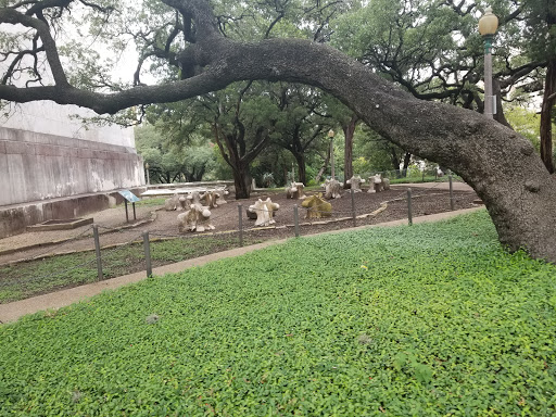 Museum «Texas Memorial Museum», reviews and photos, 2400 Trinity St, Austin, TX 78705, USA