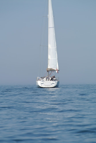 Devon Sailing Experiences Open Times