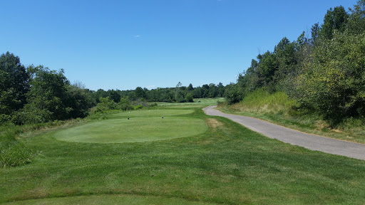 Golf Club «Quail Ridge Golf Club», reviews and photos, 8375 36th St SE, Ada, MI 49301, USA