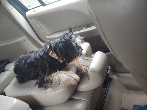 Pet Supply Store «Pet Pros», reviews and photos, 13402 Bothell Everett Hwy, Mill Creek, WA 98012, USA