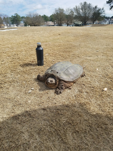 Country Club «Prestonwood Country Club», reviews and photos, 300 Prestonwood Pkwy, Cary, NC 27513, USA