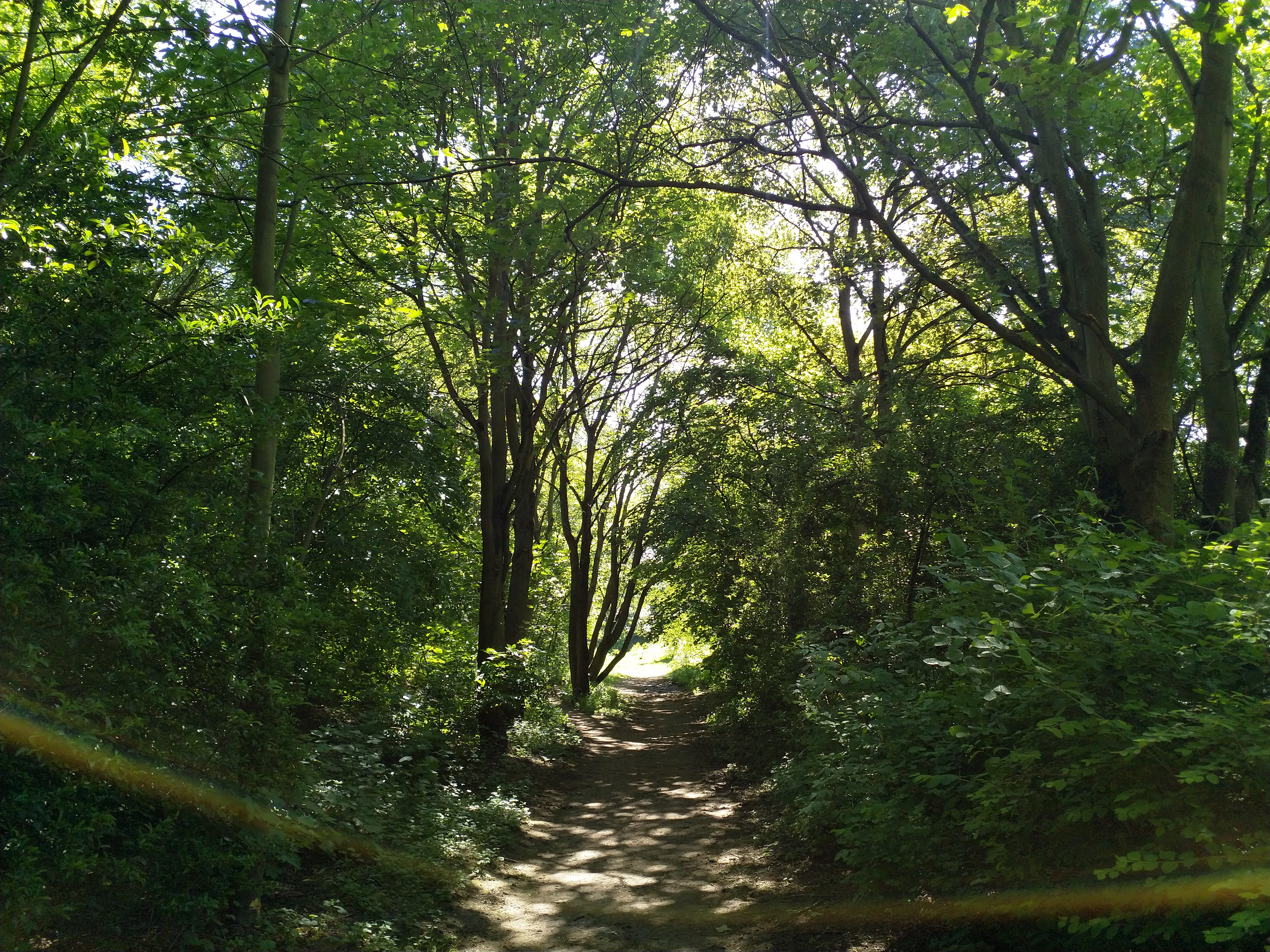 Photo n° 2 de l'avis de Sam.. fait le 08/05/2018 à 16:27