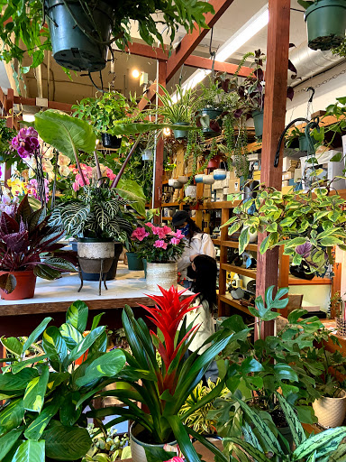 Book Store «Kinokuniya San Francisco», reviews and photos, 1581 Webster St, San Francisco, CA 94115, USA