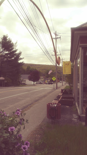 Gift Shop «Flowers By Lynn», reviews and photos, 77 Sullivan St, Wurtsboro, NY 12790, USA