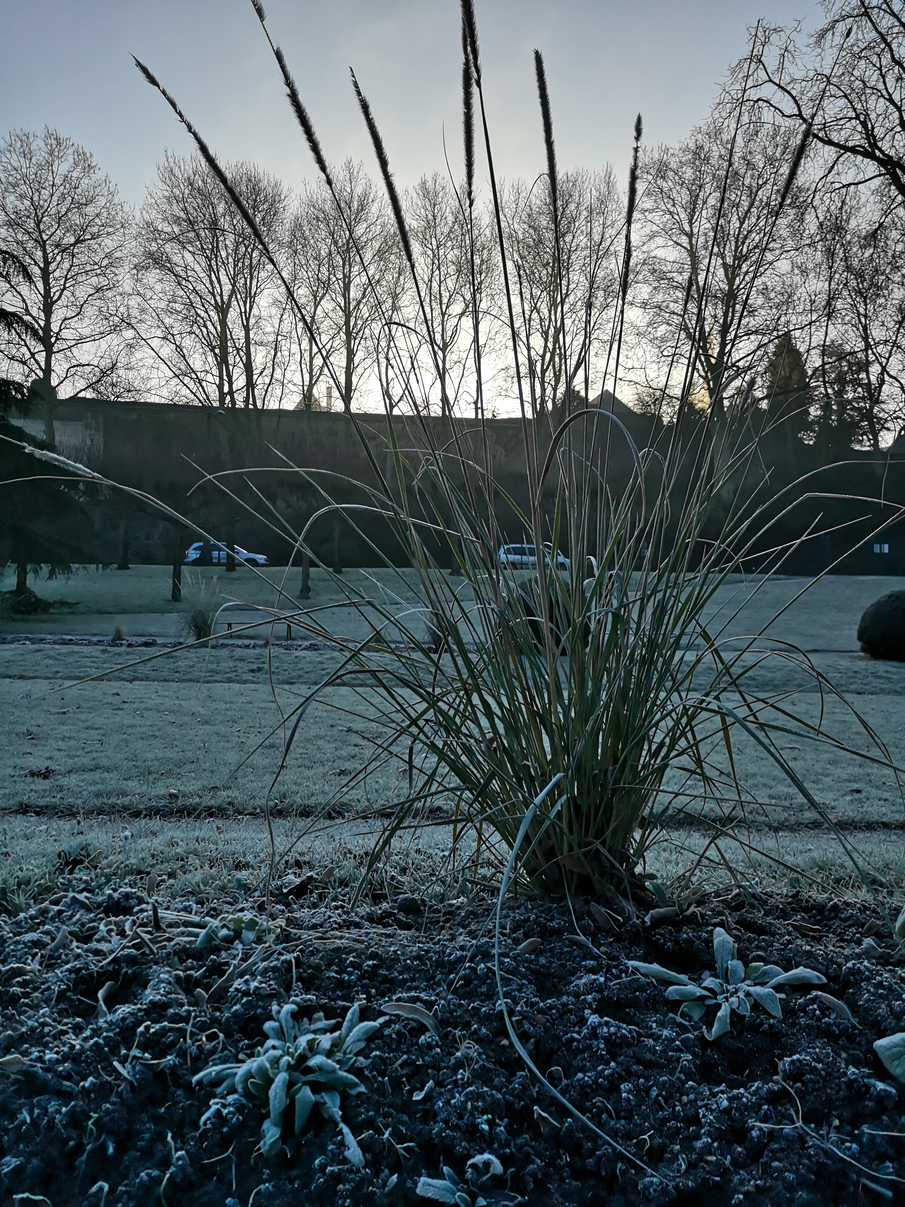 Photo n° 1 de l'avis de Ancaa.u fait le 21/01/2020 à 09:26