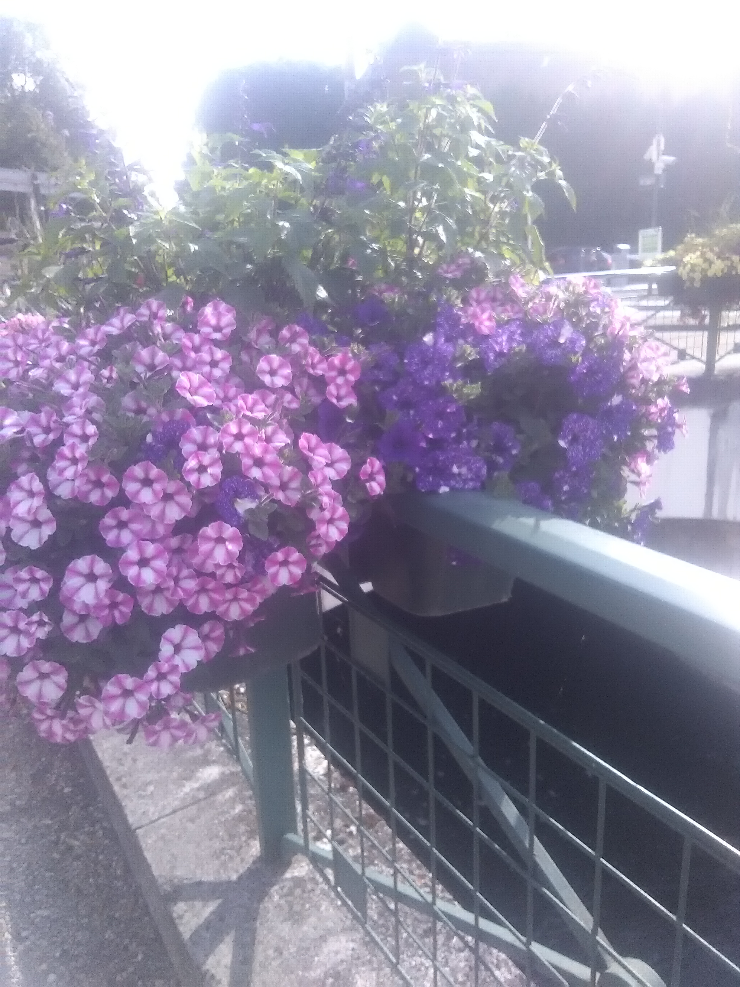 Photo n° 9 de l'avis de Cannelle.U fait le 19/06/2019 à 20:08