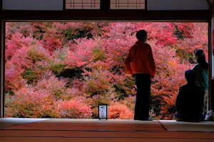 Ankokuji Temple image