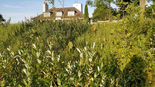 Country Club «Shoreacres Country Club», reviews and photos, 1601 Shore Acres Rd, Lake Bluff, IL 60044, USA