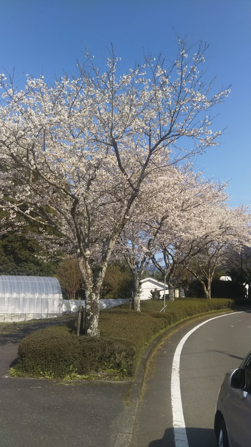 酒元水産