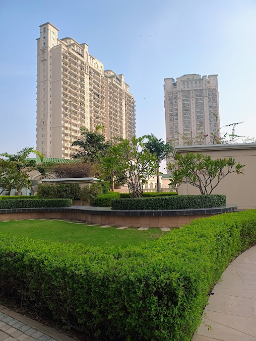 Google Maps image 19