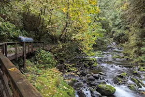 Sweet Creek Falls Trailhead image