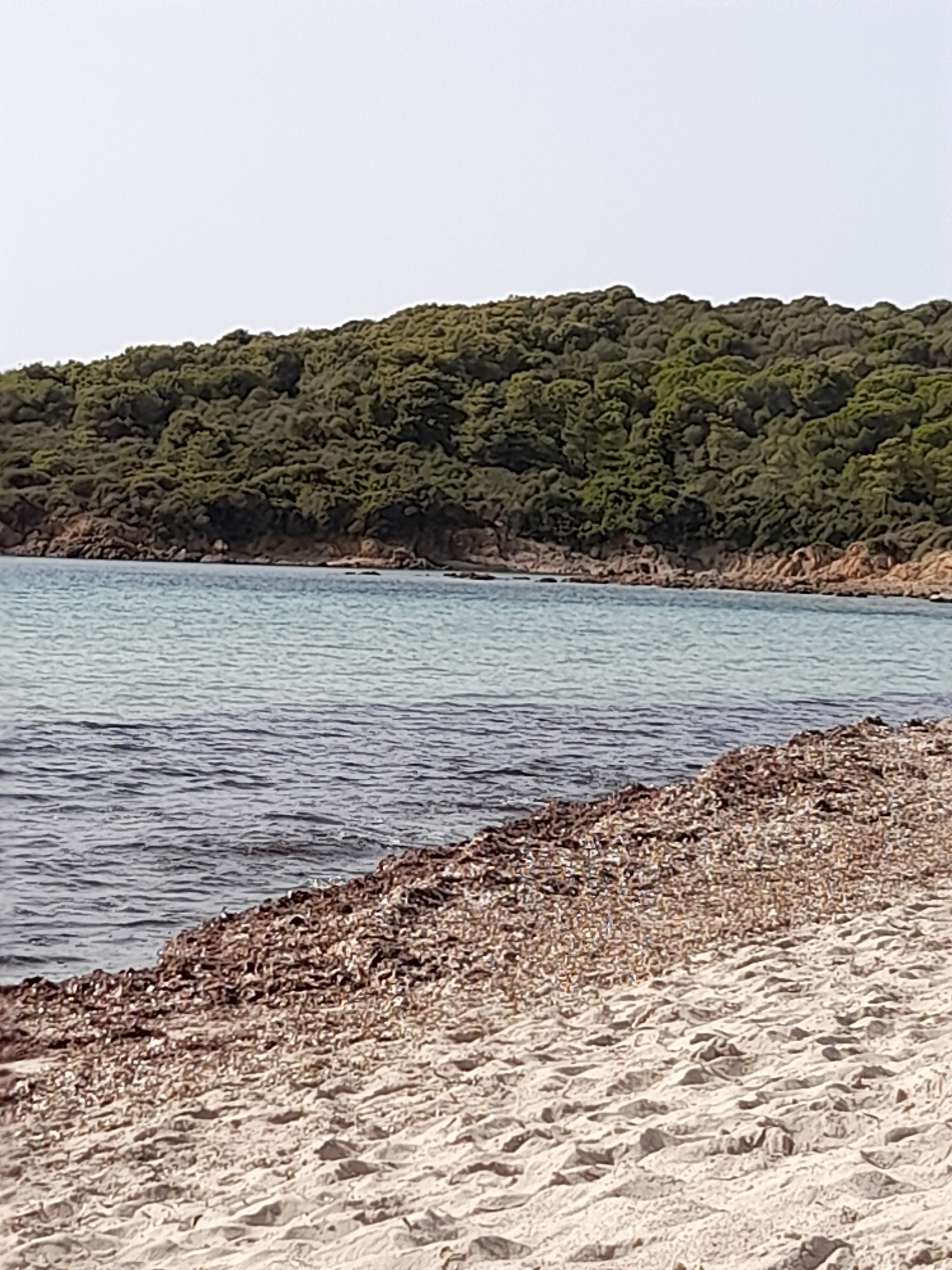 Photo n° 1 de l'avis de Marie-pierre.E fait le 25/09/2021 à 08:00