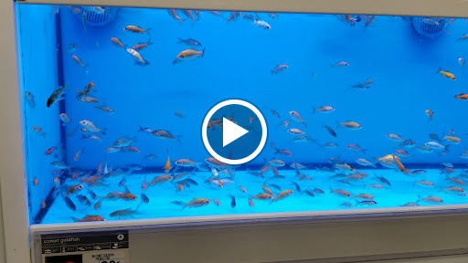 Pet Supply Store «Petco Animal Supplies», reviews and photos, 1320 E Lincoln Way p101, Sparks, NV 89434, USA