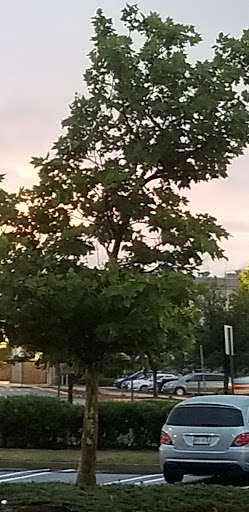 Grocery Store «Stop & Shop», reviews and photos, 540 Squire Rd, Revere, MA 02151, USA