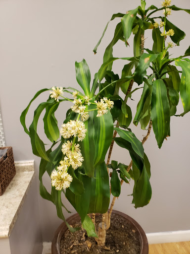 Nail Salon «Le Nails Salon», reviews and photos, 23513 US-23, Circleville, OH 43113, USA