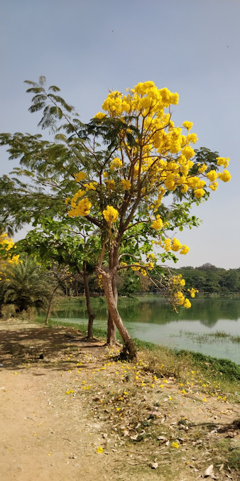 Google Maps image 10