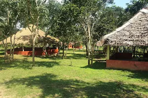 Ambuja Farms-Bandipur image