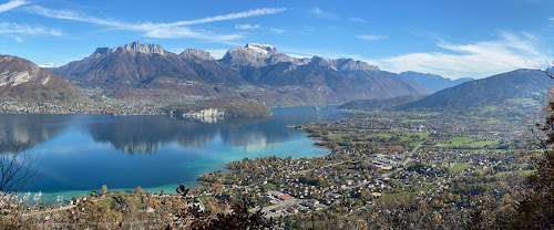 Agence immobilière Thierion & Co Immobilier Annecy