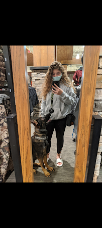 Indy Pet Sitting and Dog Walking - Photo 7 - Car repair in , Cincinnati